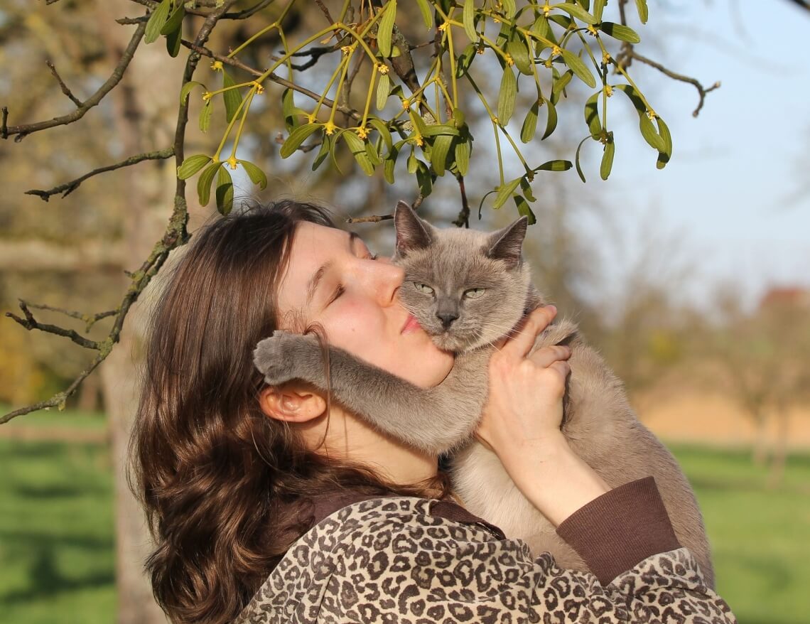 Sommerurlaub mit der Katze: Tipps für ein entspanntes Abenteuer : ENCARTA